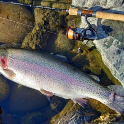 日曜の天竜川ルアーフライテンカラ専用区